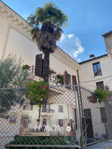 a palm tree in front of a building at 44 - Mu Ni in Amelia