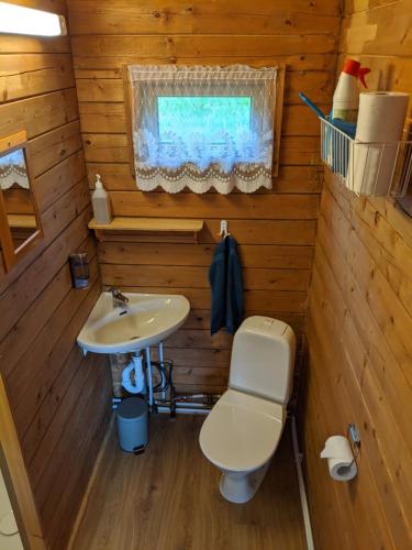 a bathroom with a toilet and a sink at Stóra-Vatnshorn in Búðardalur
