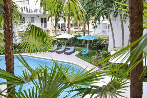 Coral Reef at Key Biscayne – Photos 2