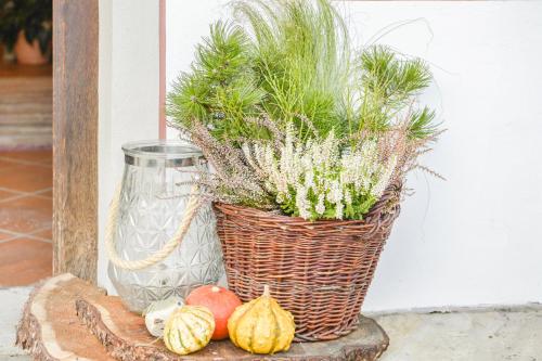 a basket with plants in it next to a vase at Beim Kreuzfelder Gambskogel in Inzell