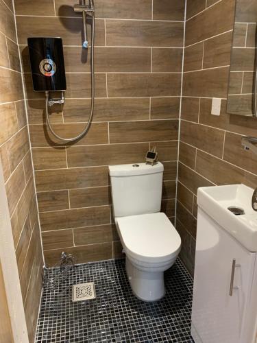 a bathroom with a toilet and a shower at The Cherry Tree - Treehouse in Downham Market