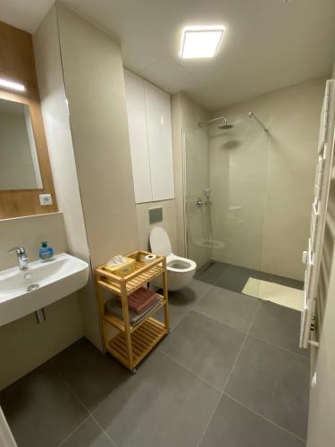 a bathroom with a toilet and a sink and a shower at Apartmán OKO in Písek