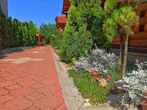 a dog laying in a garden next to a building at Eko Apartmani in Bački Petrovac