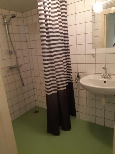 a bathroom with a black and white shower curtain and a sink at Tiny house Veluwse Garre in Garderen