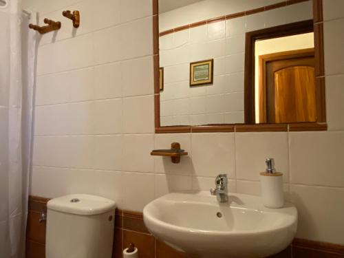 een badkamer met een toilet, een wastafel en een spiegel bij CASAS RURALES TIO ANTONIO in Las Rosas