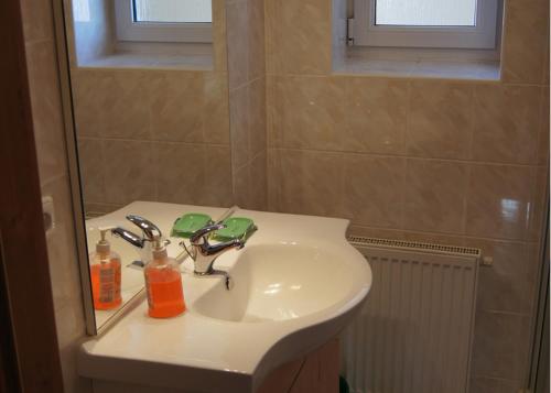 a bathroom with a sink and a mirror and a sink at Pension Kalista in Klatovy