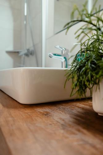 a bathroom sink with a plant on a wooden floor at Kondrauer Hof in Waldsassen