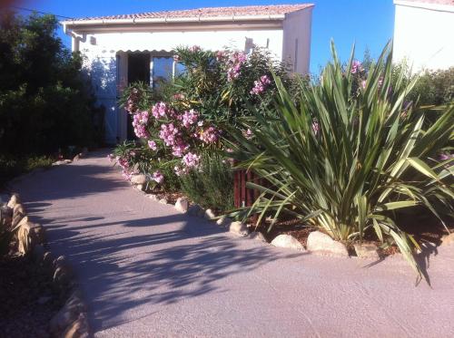 a garden with pink flowers and plants on a sidewalk at Residence Agula Mora in Lecci