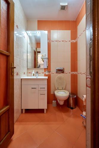 a bathroom with a toilet and a sink and a mirror at Casa cu Flori Moisei in Moisei