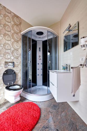 a bathroom with a toilet and a glass shower at Casa cu Flori Moisei in Moisei