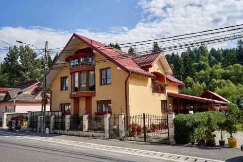 a house on the side of a street at Casa cu Flori Moisei in Moisei