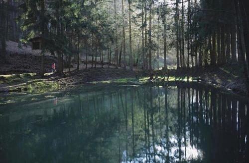 a pool of water in a forest with trees at Ferienhaus "Schmetterling" am See im Bergland in Kirchheim