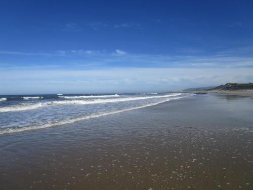 una playa con olas que vienen del océano en Casinha da Eira en Esposende
