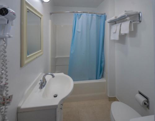 La salle de bains est pourvue d'un lavabo, de toilettes et d'une douche. dans l'établissement Budget Inn Watkins Glen, à Watkins Glen