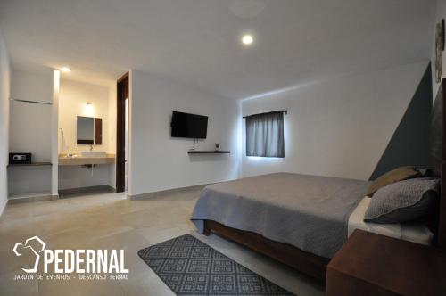 1 dormitorio con 1 cama y TV en la pared en Pedernal Hotel en San Miguel de Allende