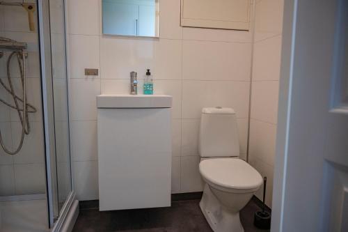 a bathroom with a toilet and a sink and a shower at Idylliske Skudeneshavn in Skudeneshavn