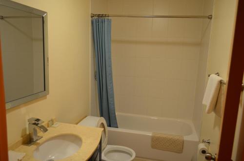 a bathroom with a sink and a toilet and a tub at Two Hills Inn in Two Hills