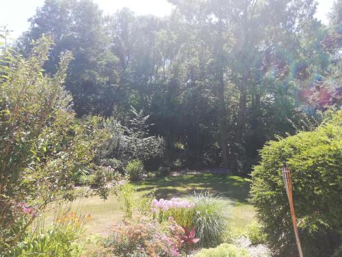 einen Garten mit vielen Pflanzen und Bäumen im Hintergrund in der Unterkunft Ferienwohnung Jobst - Ruhig mit Blick ins Grüne in Nittenau