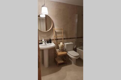 La salle de bains est pourvue d'un lavabo, de toilettes et d'un miroir. dans l'établissement Apartamento Lerele, à Santurde