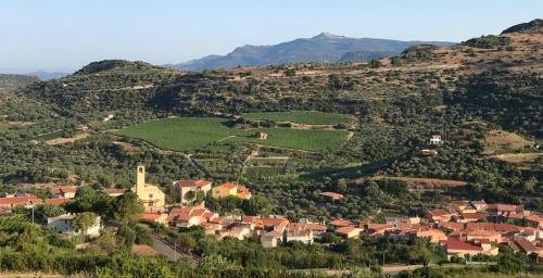 Gallery image of Il giardino degli aranci in Modolo