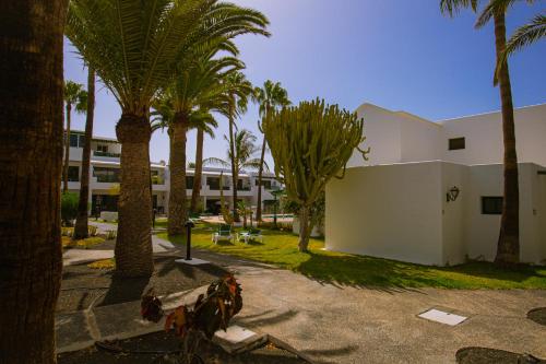 Paradise Club