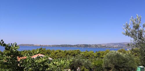 a view of the lake from the hills at Seapine Studios in Lassi