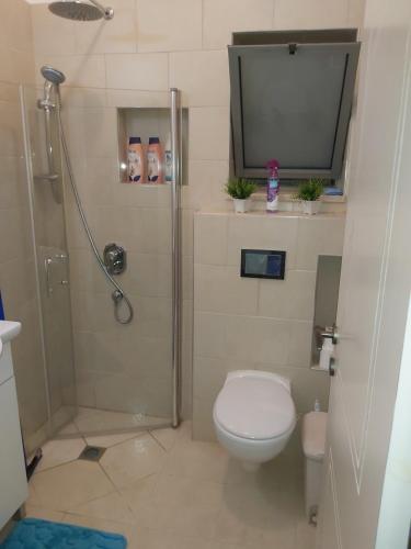 a bathroom with a toilet and a shower and a television at ZEHAVI Guest House in Lahavot HaBashan