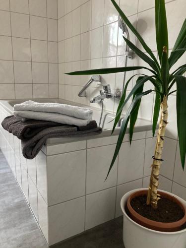 a bathroom with a plant sitting next to a bath tub at Ferienwohnung St. Georg in Hemau