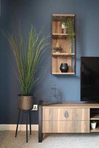 Blueberry View - Wyndale Living - Central Worcesterにあるテレビまたはエンターテインメントセンター