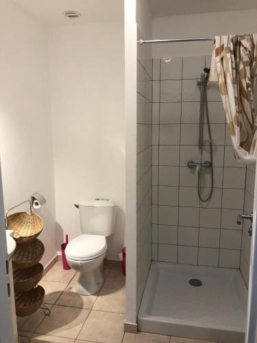 une salle de bain avec toilettes et douche dans l'établissement Le Vieux Moulin, à Forcalquier