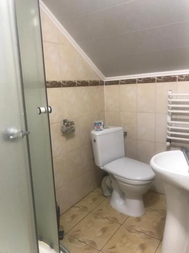 a bathroom with a toilet and a sink at Sadyba Pidkova Чан сауна Приймаємо групи до 70людей in Pistyn