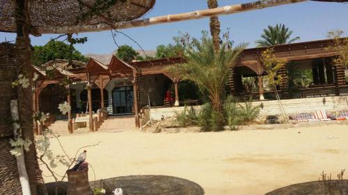 a house with a bird sitting in front of it at Elbadawy camp in Nuweiba
