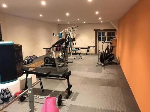 Fitness centrum a/nebo fitness zařízení v ubytování Au Plech
