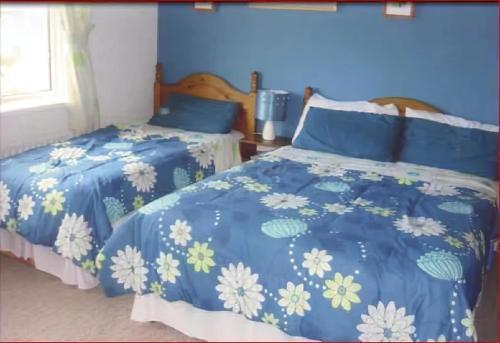 Gallery image of The Yellow Rose B&B in Ballina