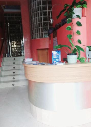 a counter in a building with a potted plant at Alojamientos ALBOR I in Gijón