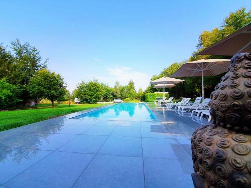 - une piscine avec des chaises et un parasol dans l'établissement Domaine De L'Alu, à Samrée