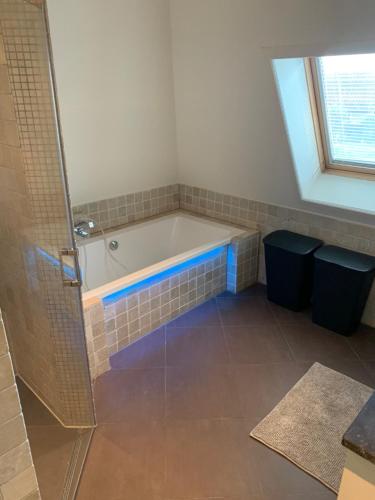 a bathroom with a bath tub in a room at Vakantiehuis Villa Zeewolde in Zeewolde