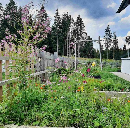 a garden with flowers in front of a wooden fence at Woden apartment in Žabljak