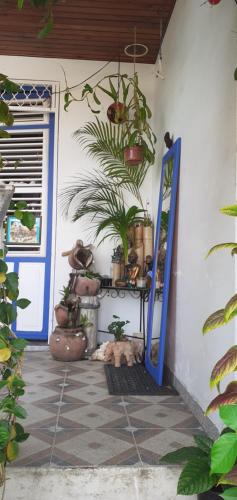 een kamer met een blauwe deur en potplanten bij Chambre d'hôte la Calebasse in Sainte-Anne