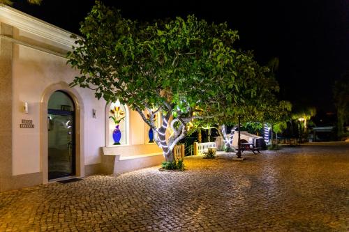 a tree in front of a building at night at Fazenda Viegas in Lagos