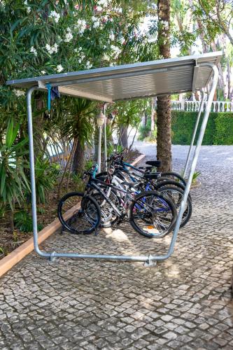 a group of bikes parked under a canopy at Fazenda Viegas in Lagos
