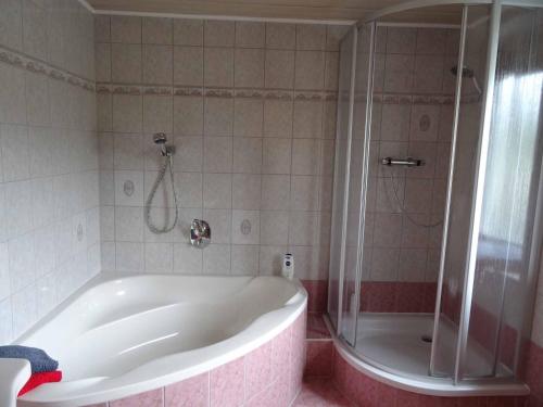 a bathroom with a bath tub and a shower at Ferienhaus Dampferblick in Meißen