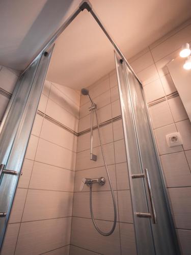 une douche dans une salle de bains avec porte en verre dans l'établissement Studio Kolman, à Bled