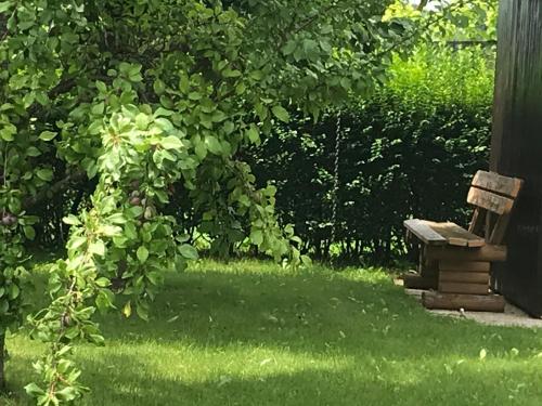 a bench sitting in the grass in a yard at Kranach 5 - Wohnen beim Wein in Gamlitz