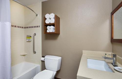 a bathroom with a toilet and a sink and a bath tub at Staybridge Suites Orlando South by IHG in Orlando