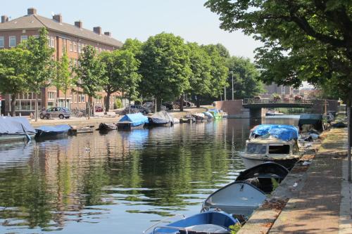 un grupo de barcos están atracados en un río en Wild Roses en Ámsterdam