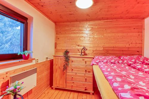 a bedroom with a bed and a window at Apartmán Kinských in Rožnov pod Radhoštěm