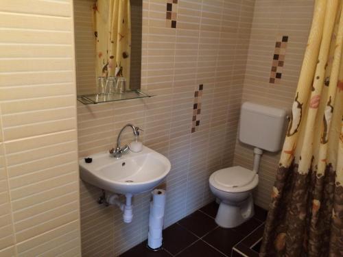 a bathroom with a sink and a toilet at Harmónia Panzió in Bogács