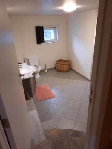 a bathroom with a toilet and a sink and a window at Al'fagne de boca in Bertogne