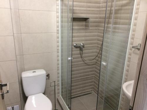 a bathroom with a shower with a toilet and a sink at Harmónia Panzió in Bogács